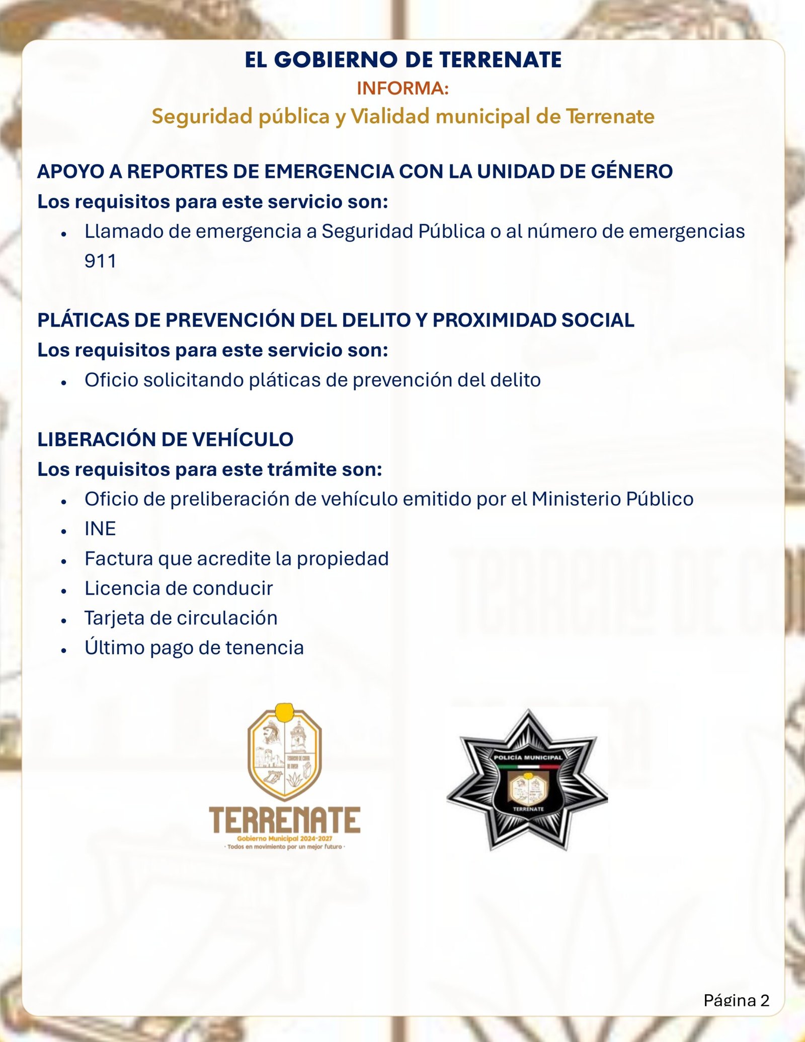 Seguridad publica_page-0002